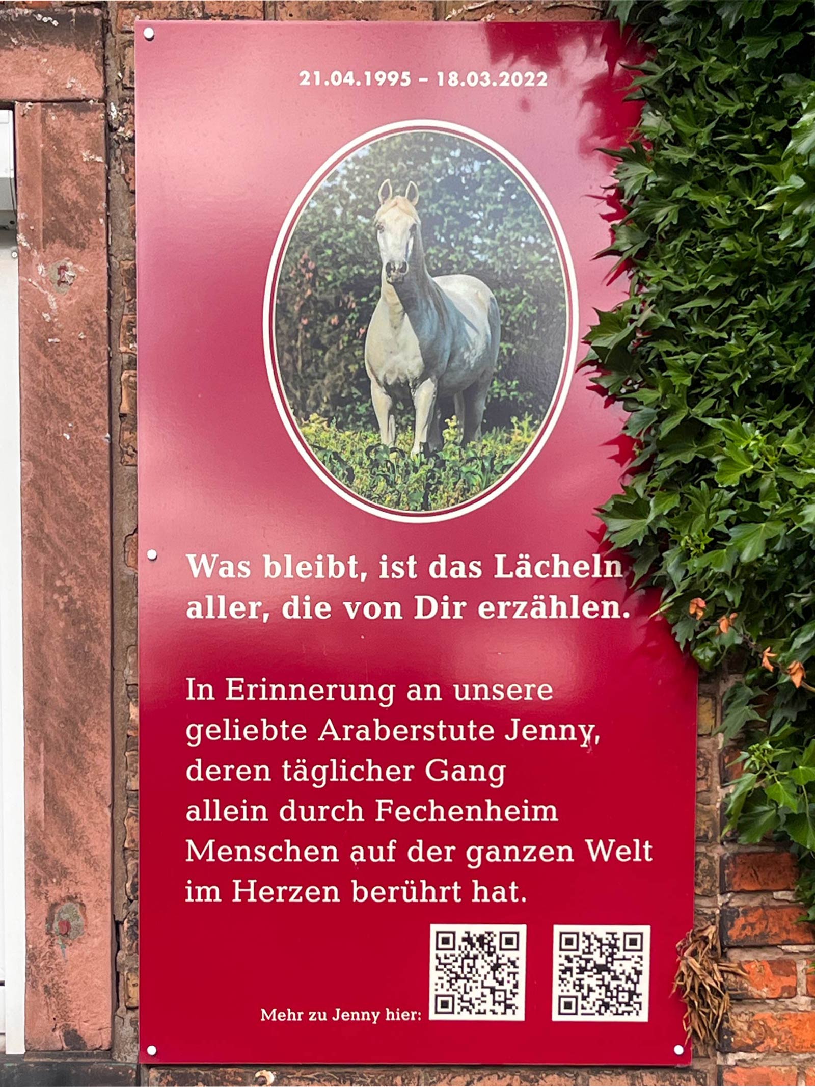 Schild gedenkt Araberstute Jenny in Frankfurt-Fechenheim