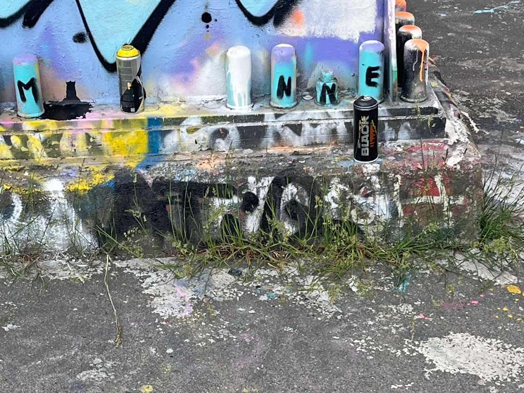 Sprühdosenmüll am Ratswegkreisel