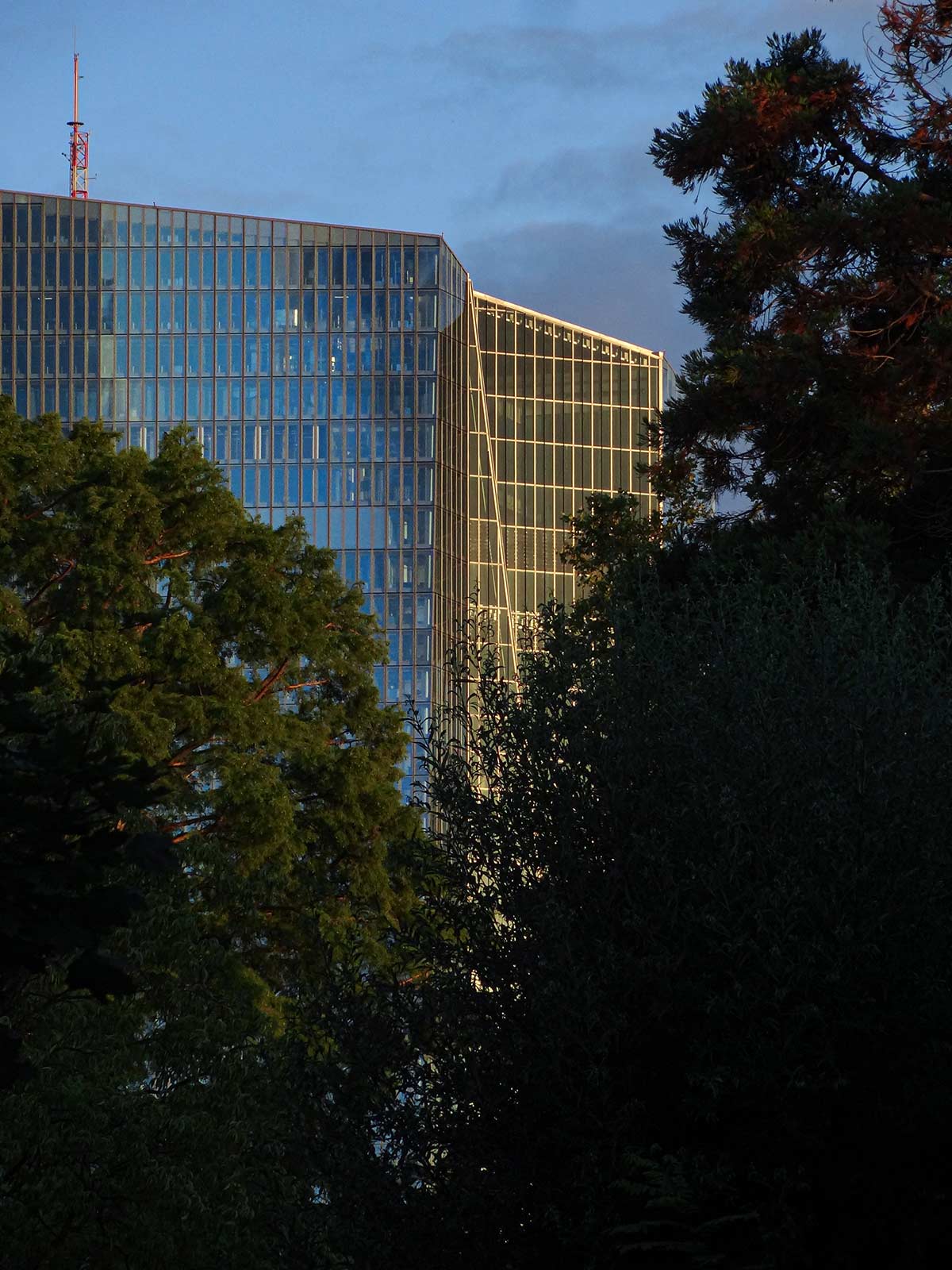 Stadtbilder Frankfurt - EZB mit Abendsonnenlicht