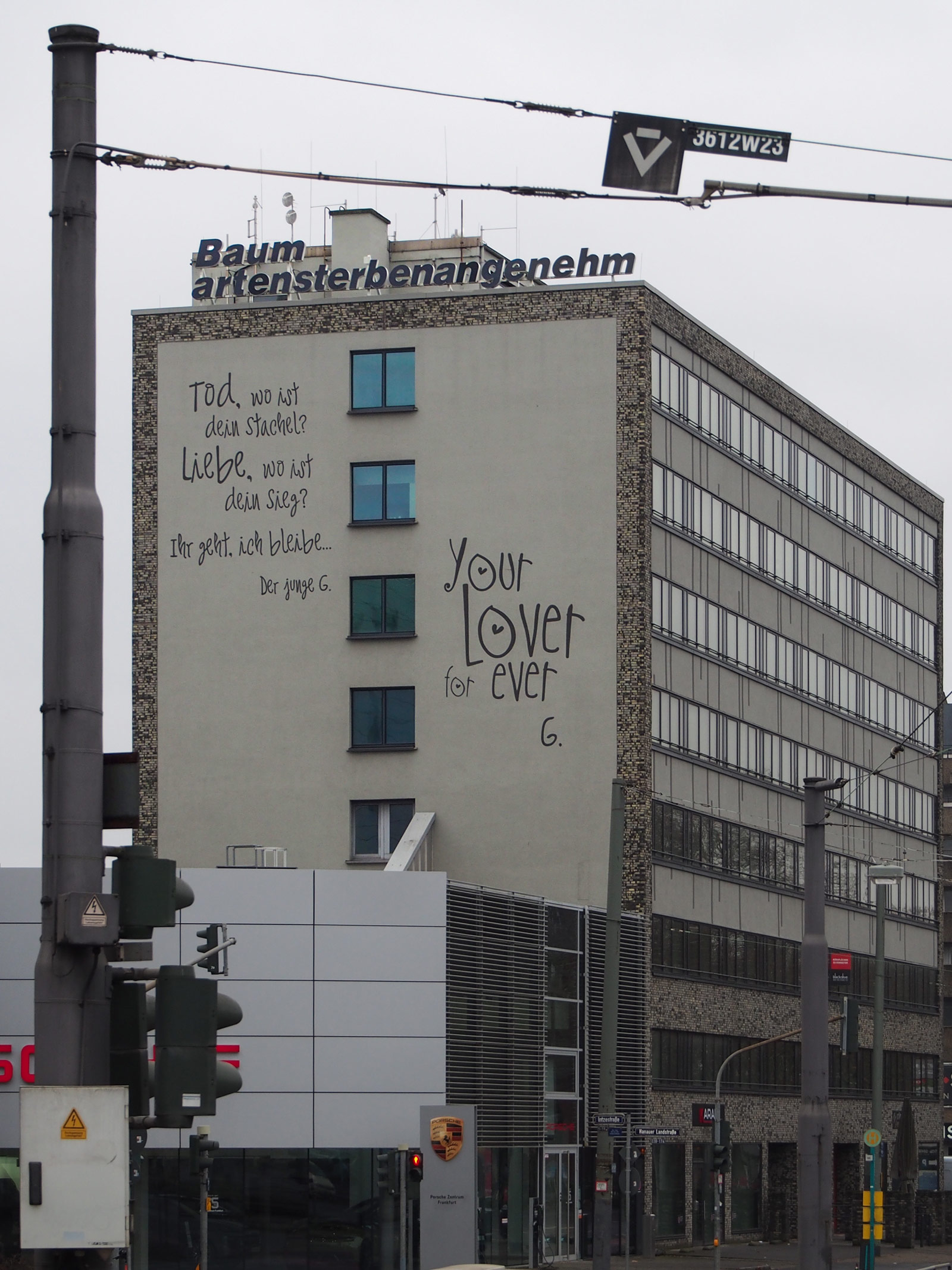 Stadtbilder Frankfurt – Baumarten sterben angenehm