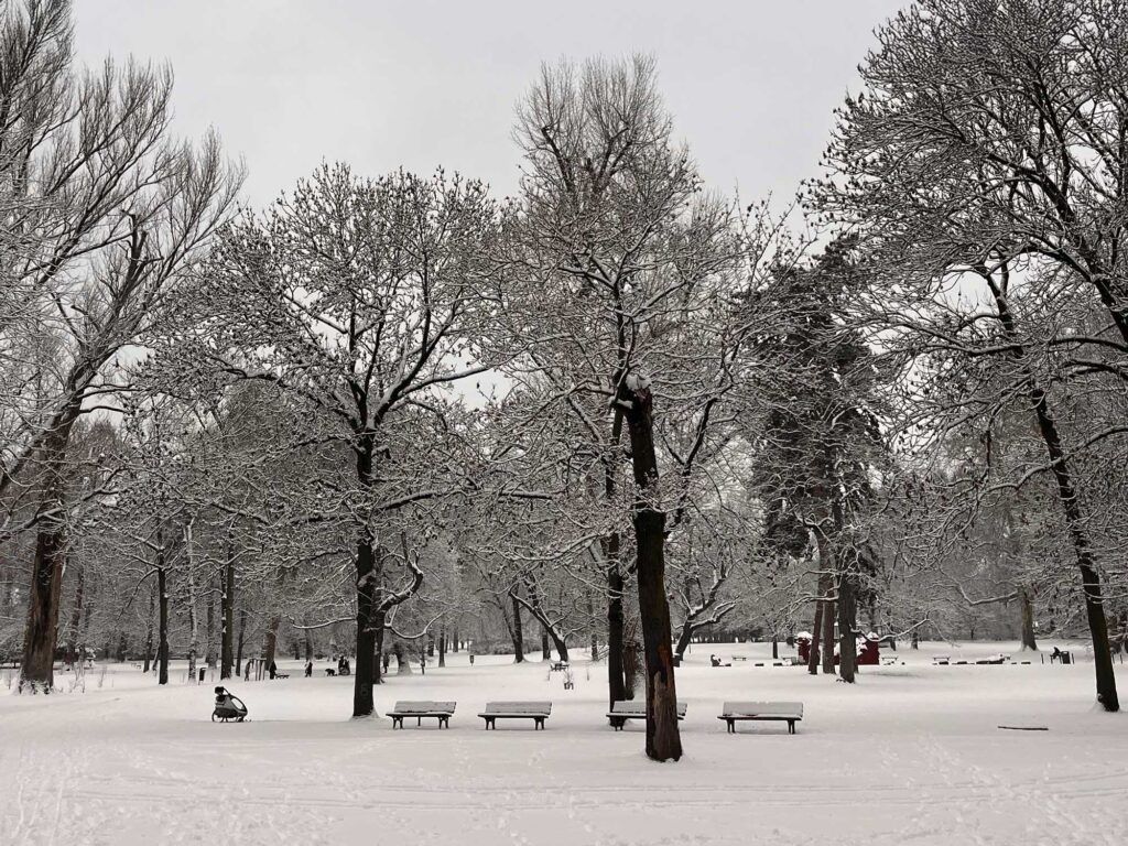 Stadtbilder Frankfurt – Schnee im Günthersburgpark