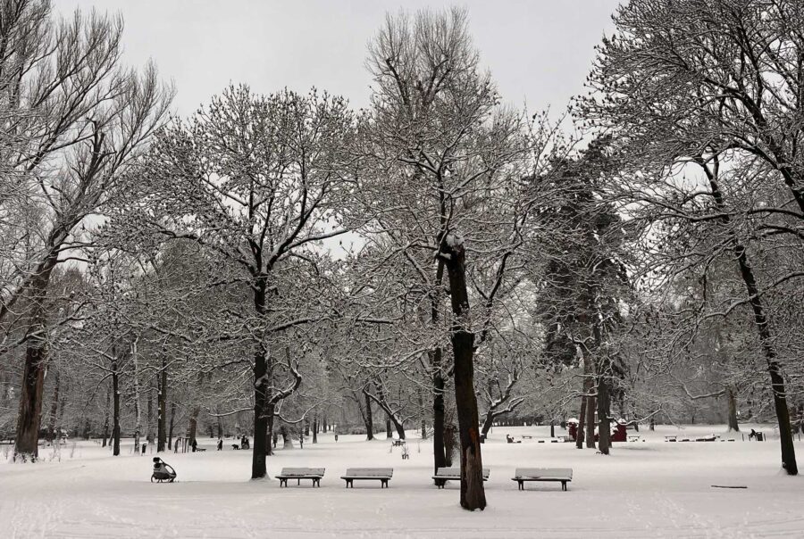 Stadtbilder Frankfurt – Schnee im Günthersburgpark