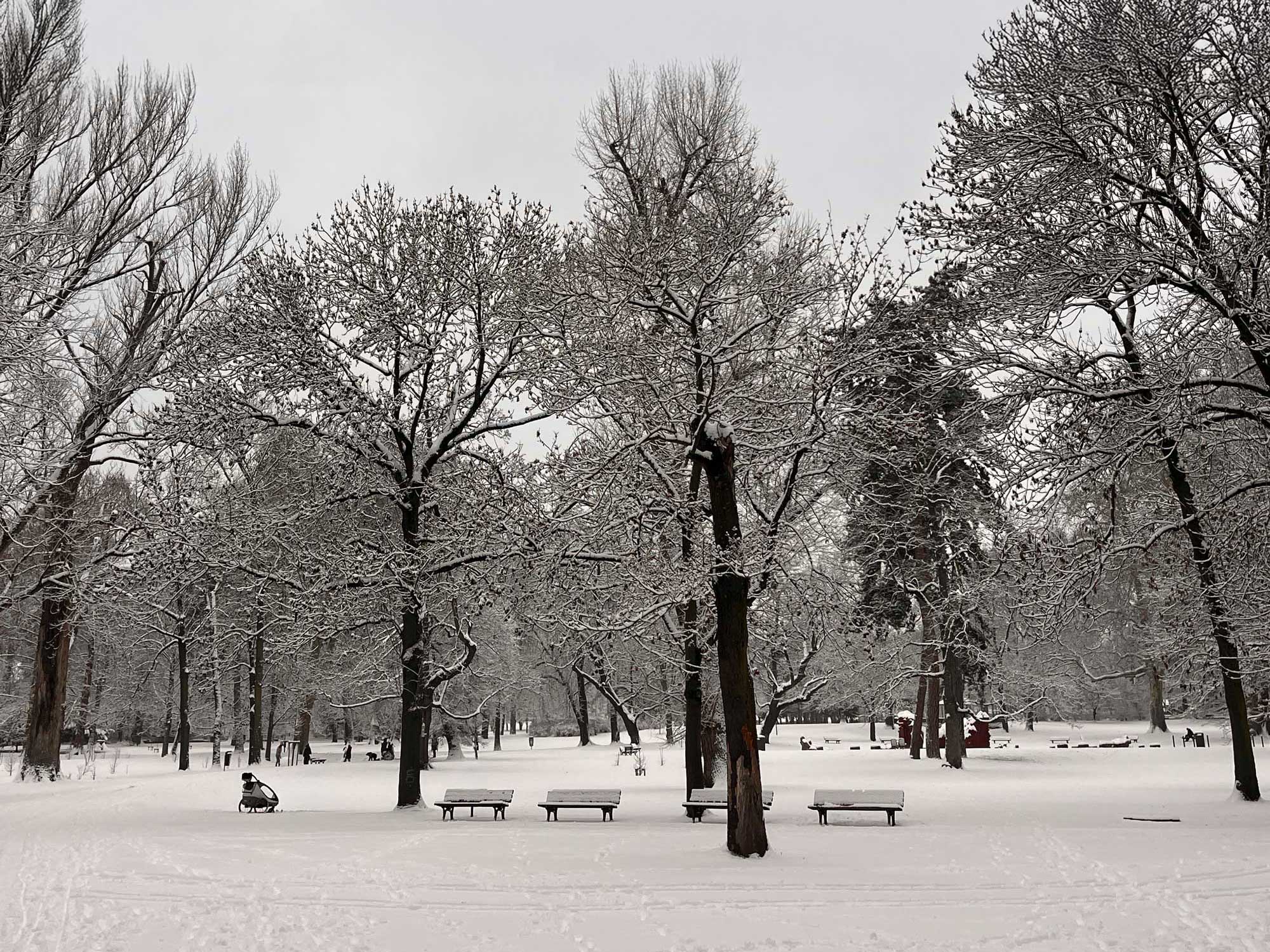 Stadtbilder Frankfurt – Schnee im Günthersburgpark