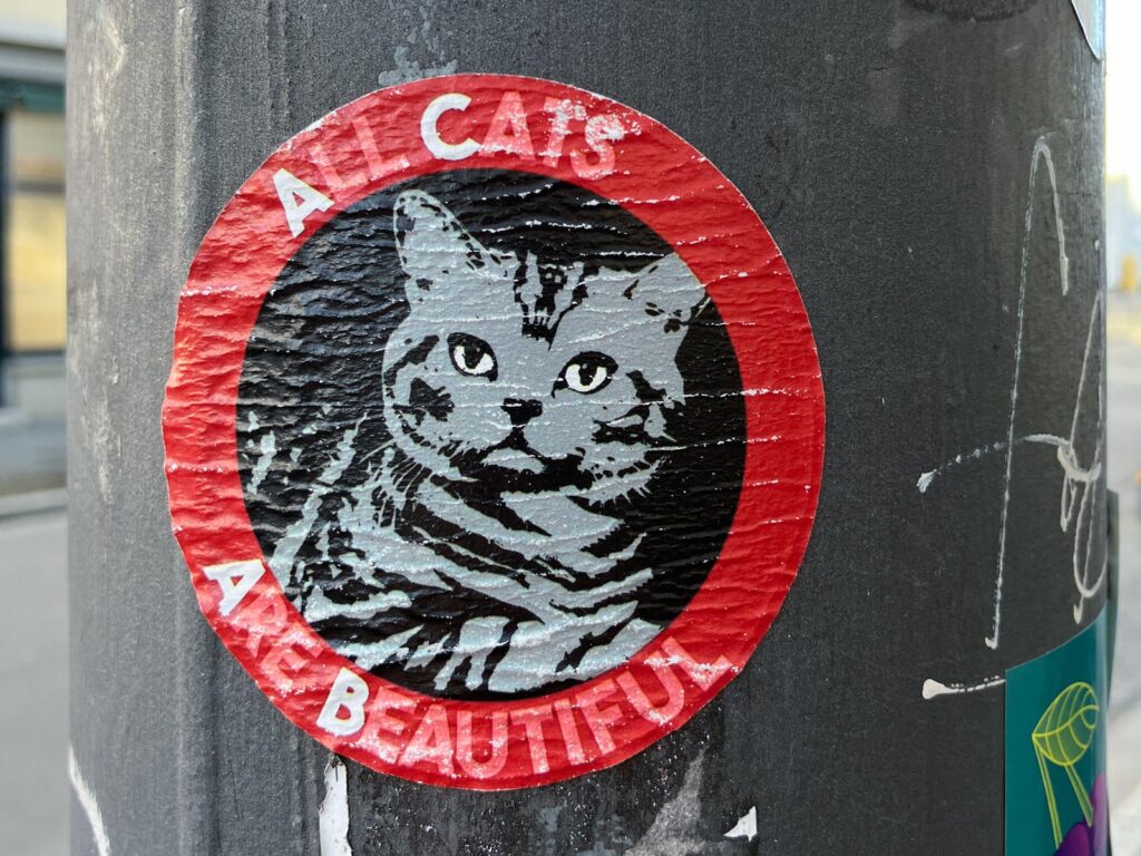 Sticker Art – All Cats Are Beautiful