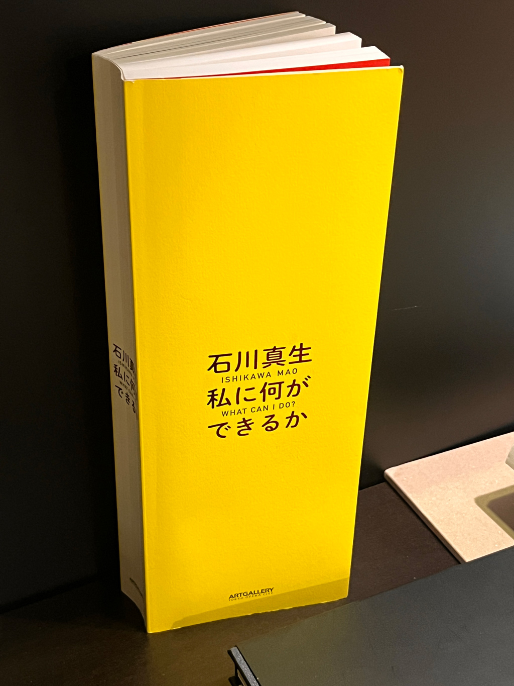 Stiftung Buchkunst auf der Frankfurter Buchmesse 2025: Schönste Bücher aus aller Welt - Japan - Ishikawa Mao – What Can I Do?