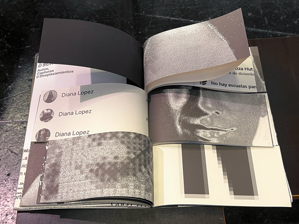 Stiftung Buchkunst auf der Frankfurter Buchmesse 2025: Schönste Bücher aus aller Welt - Venezuela - Diana Lopez – 101 Dianas