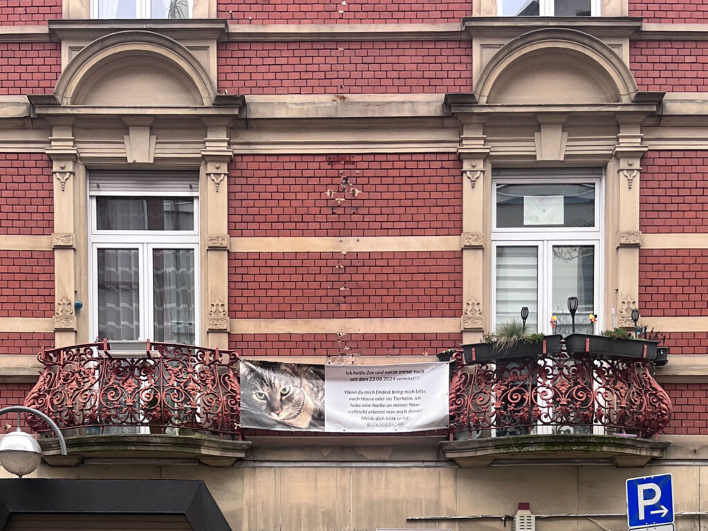 Suchzettel im öffentlichen Raum Frankfurts: Katze (Zoe)