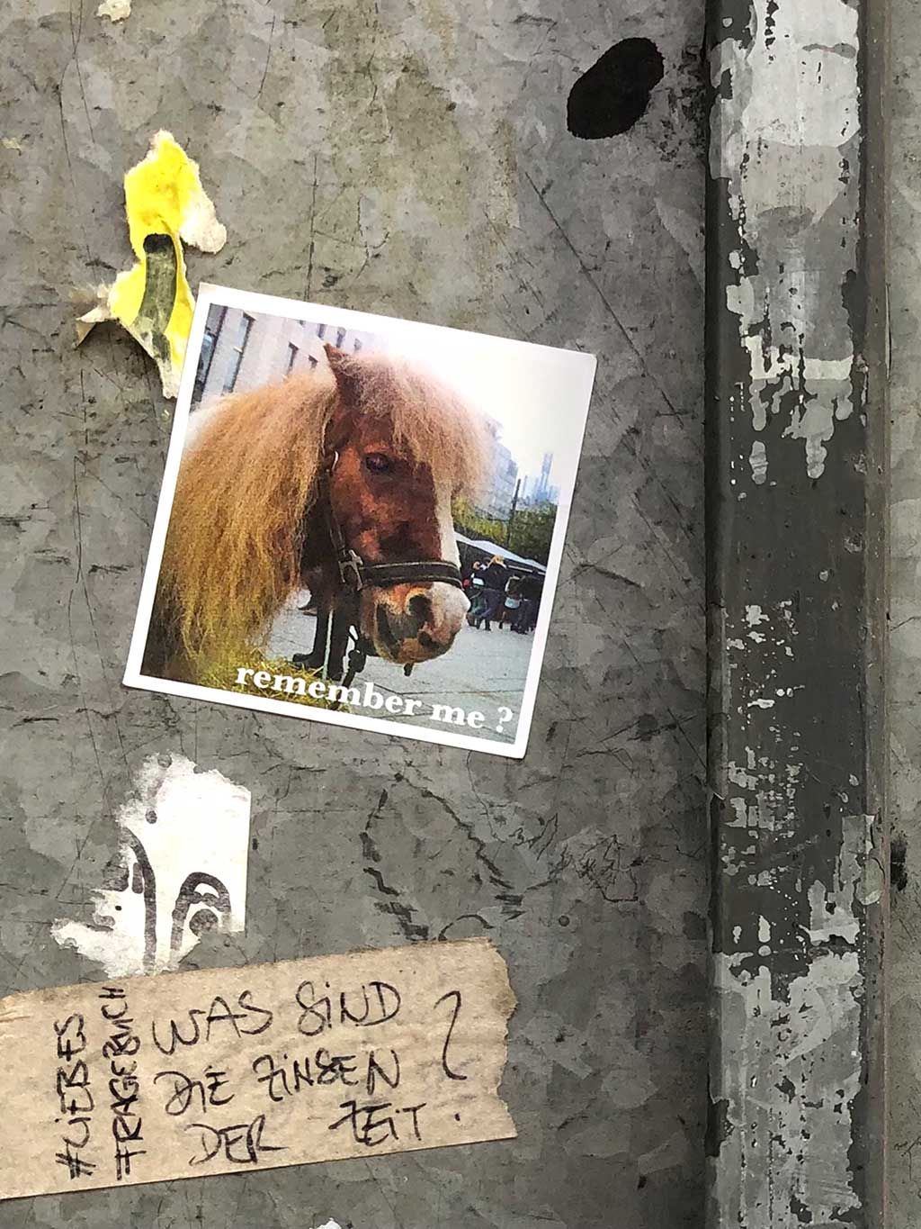 Urban Art Frankfurt - Aufkleber mit Zeil-Pony