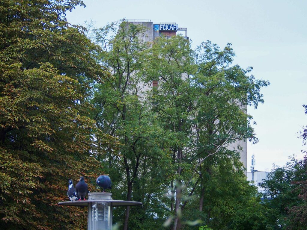 Urban Art in Offenbach – Fotos von Septembe rund Oktober 2026