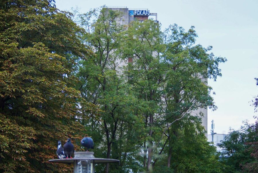Urban Art in Offenbach – Fotos von Septembe rund Oktober 2026