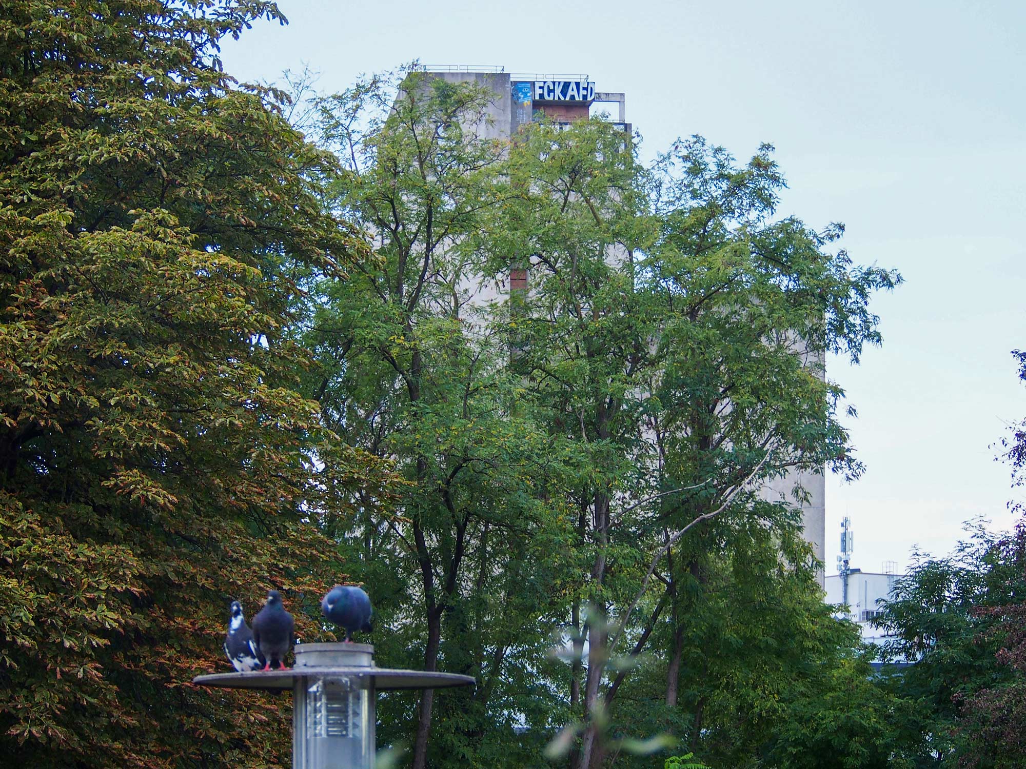 Urban Art in Offenbach – Fotos von Septembe rund Oktober 2026