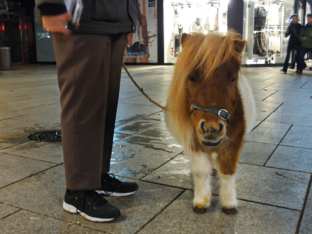 Weihnachten auf der Zeil mit dem Pony vor dem Karstadt