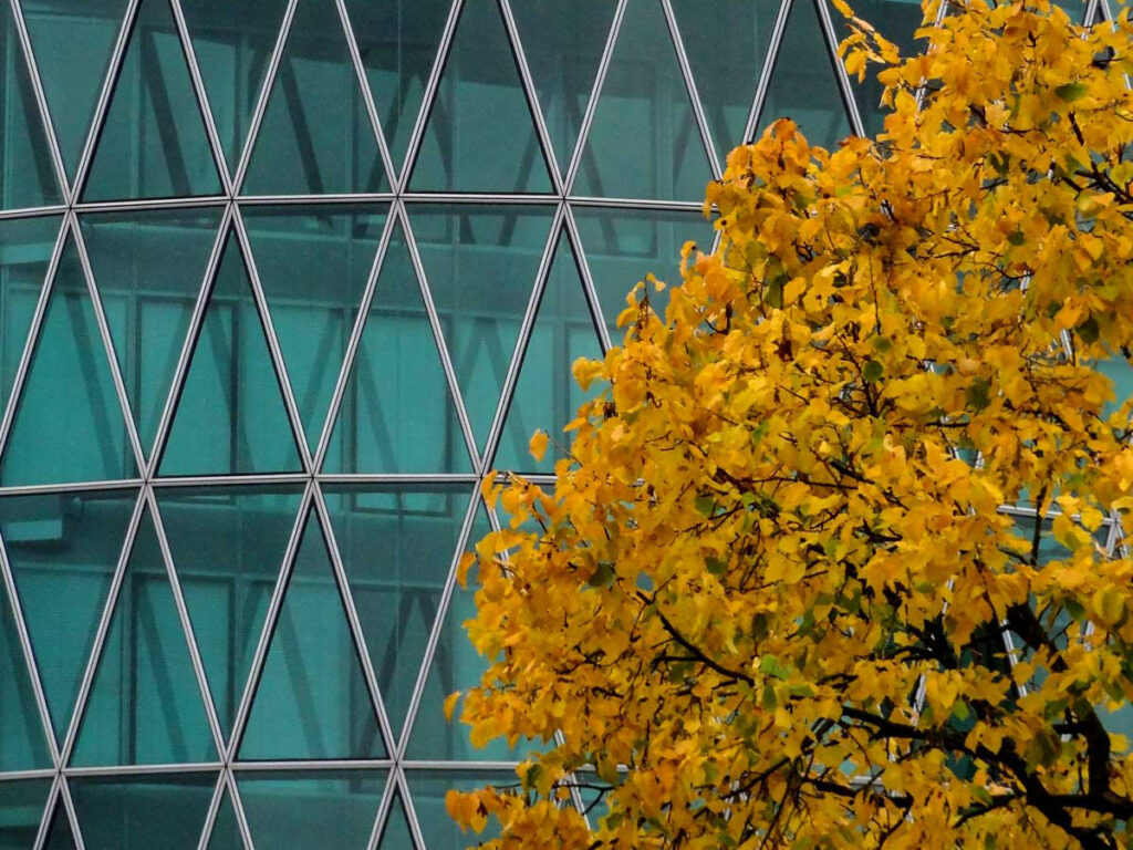 Westhafen Tower und Baum mit gelben Blättern
