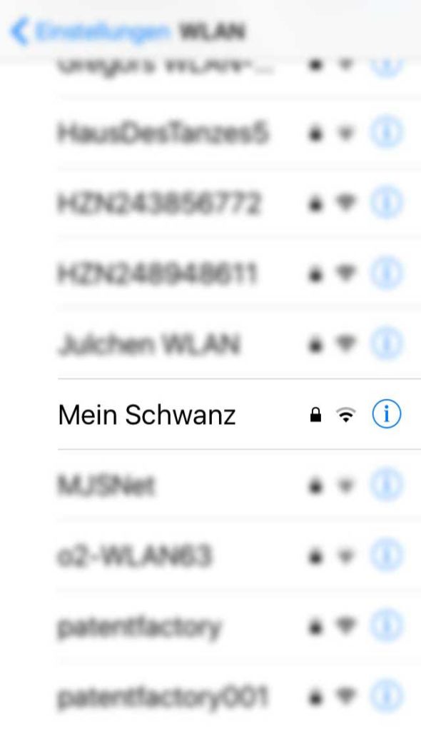 WLAN-Name in Frankfurt - Mein Schwanz